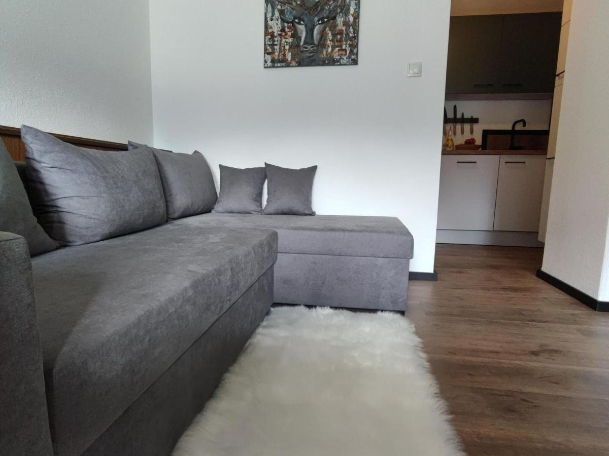 Great Apartment Near The Ski Area Hippach Eksteriør billede